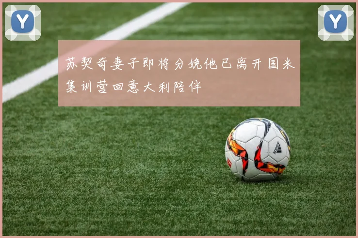 苏契奇妻子即将分娩他已离开国米集训营回意大利陪伴