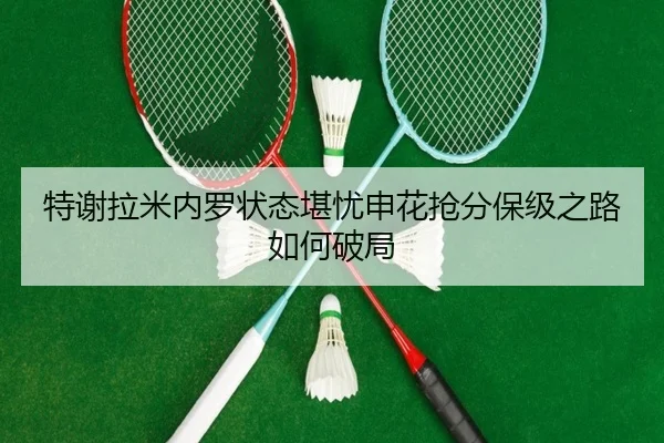 特谢拉米内罗状态堪忧申花抢分保级之路如何破局